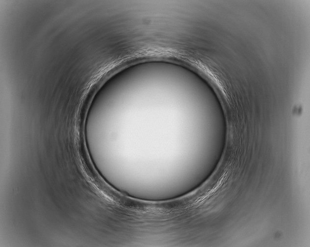 X0000101100581200806261047