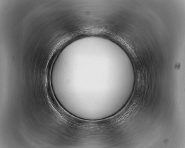 X0000101100582200806261047
