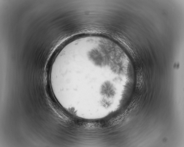 X0000101100584200806261046