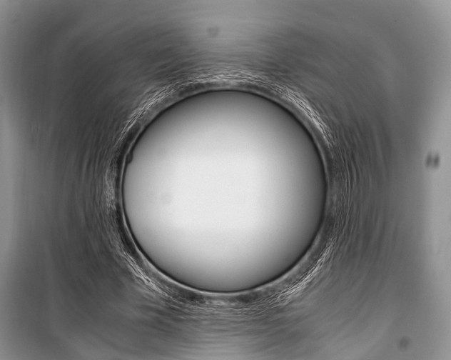X0000101100585200806261046