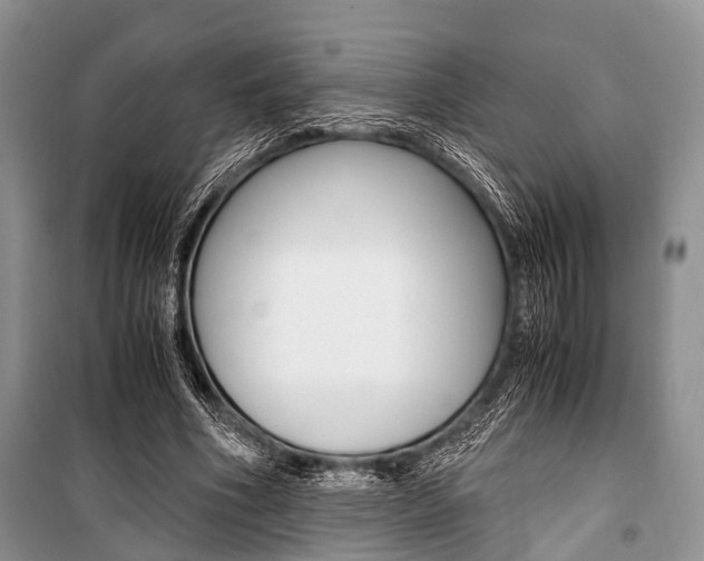 X0000101100586200806261046