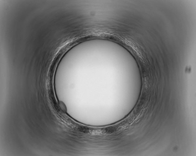 X0000101100587200806261046