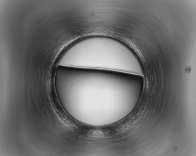 X0000101100588200806261046