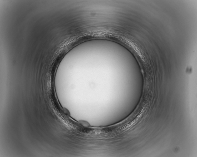 X0000101100589200806261046