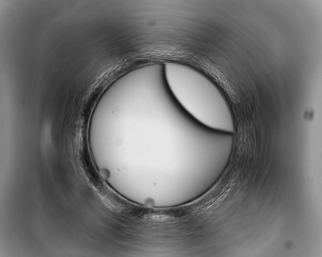 X0000101100590200806261046
