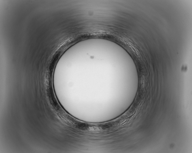 X0000101100591200806261046
