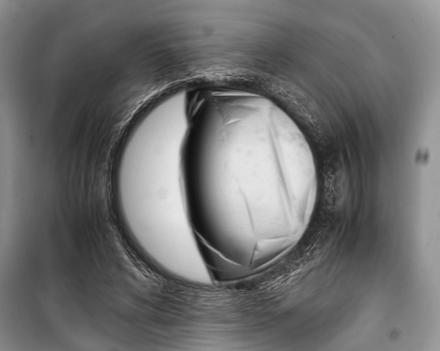 X0000101100592200806261046