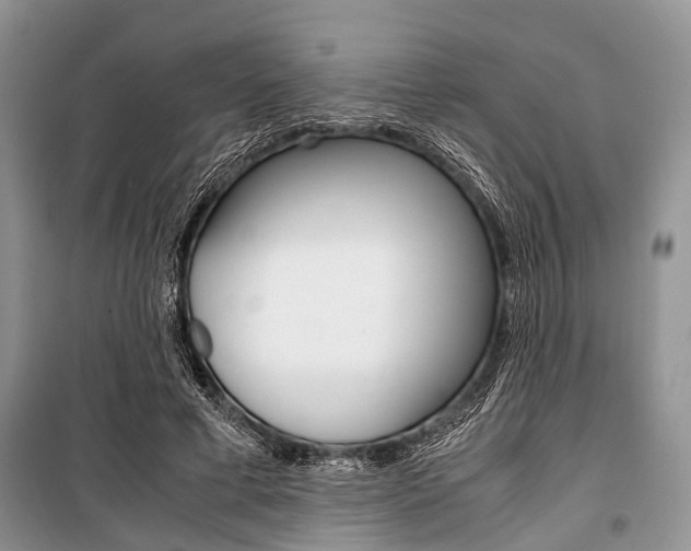 X0000101100593200806261046