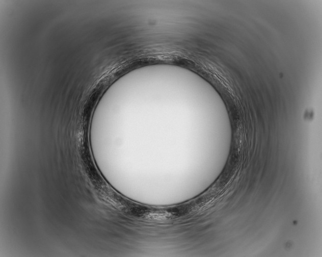 X0000101100595200806261046