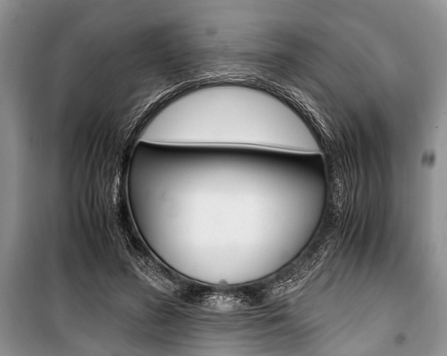 X0000101100596200806261046