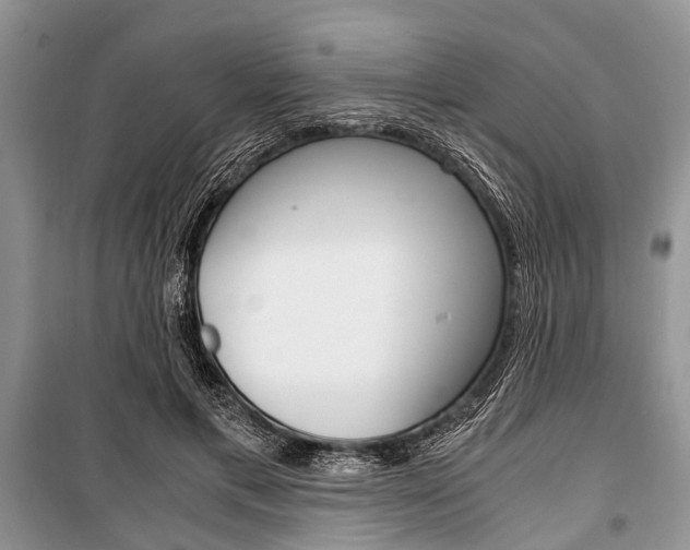X0000101100597200806261046