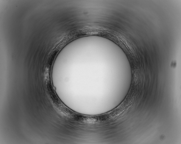 X0000101100598200806261046