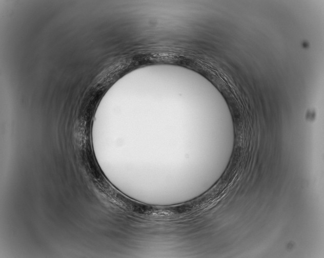 X0000101100599200806261046