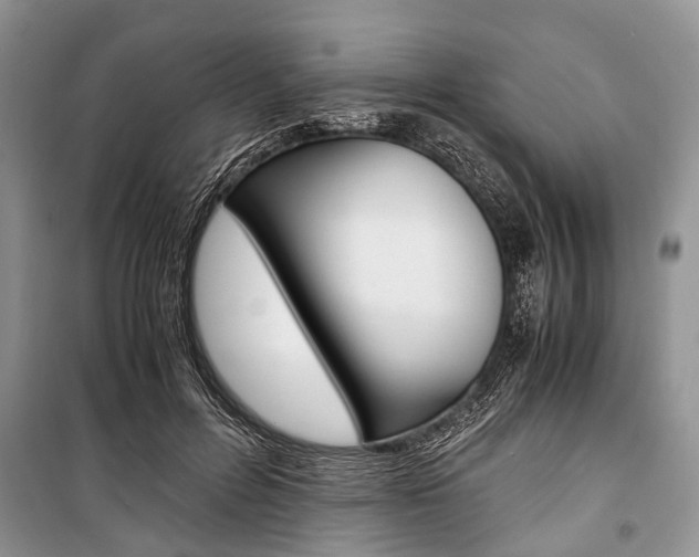X0000101100600200806261046