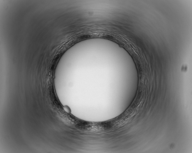X0000101100601200806261046