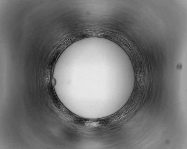X0000101100602200806261046