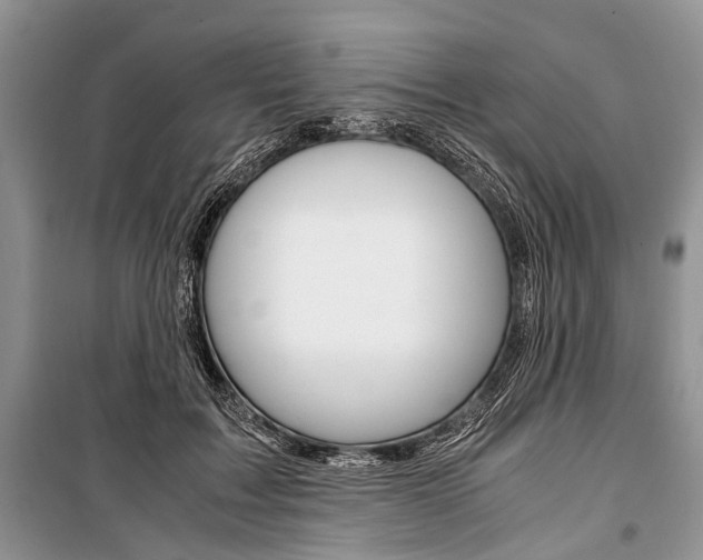 X0000101100603200806261046