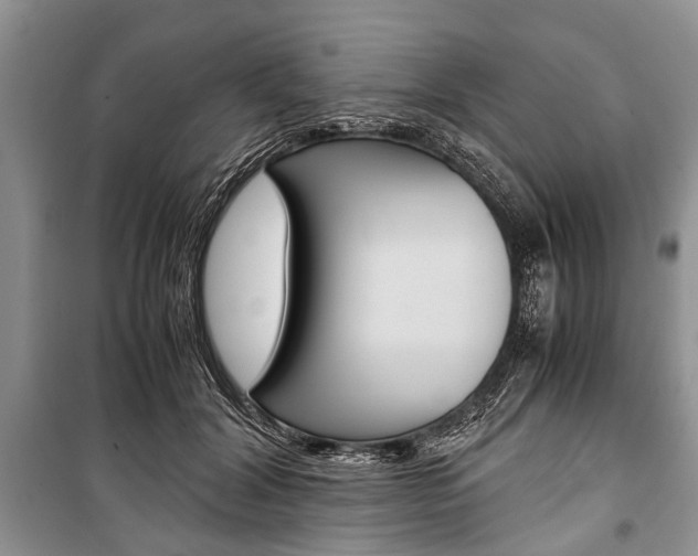 X0000101100604200806261046