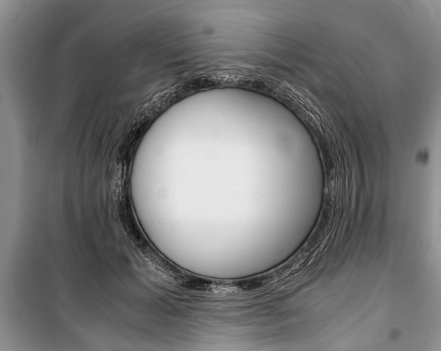 X0000101100605200806261046