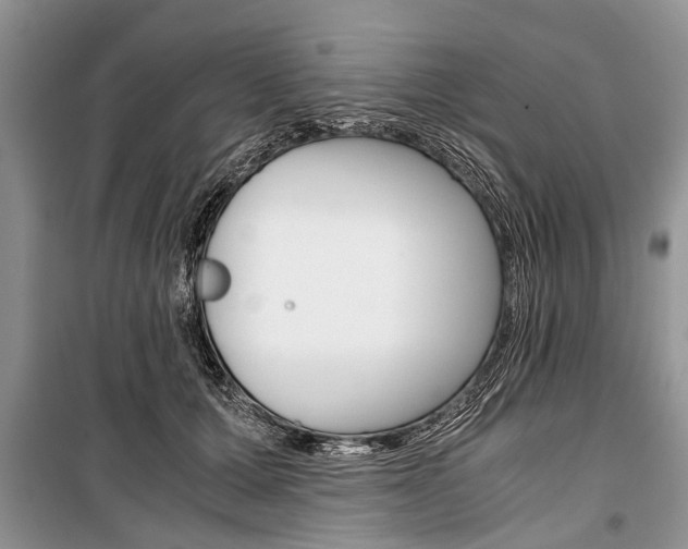 X0000101100607200806261046