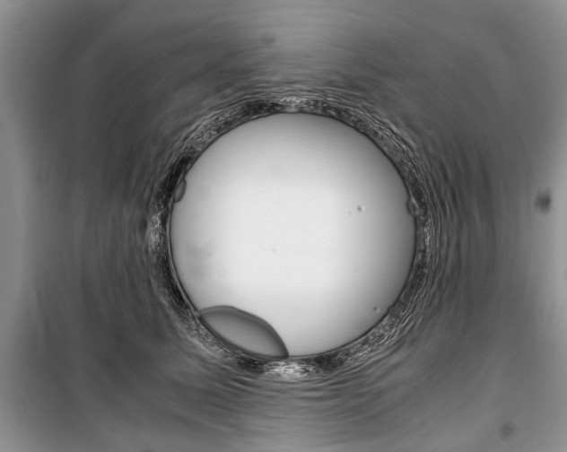 X0000101100611200806261046