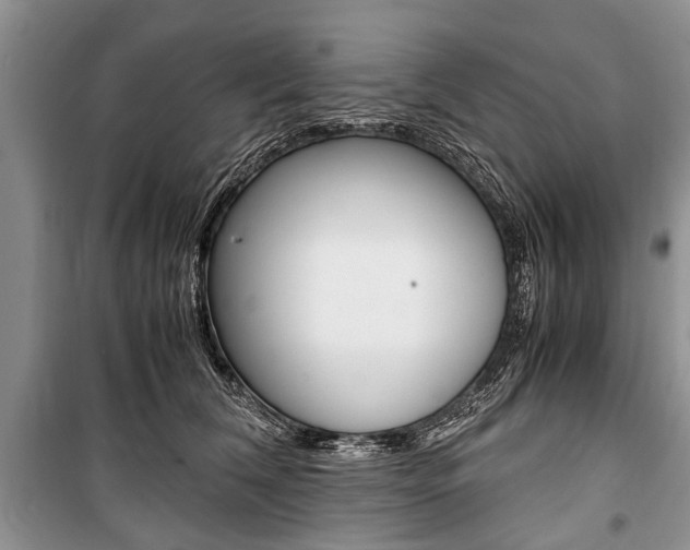 X0000101100612200806261046