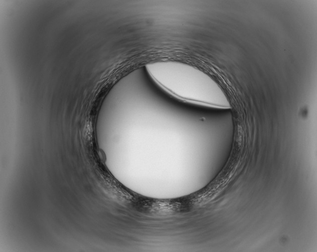 X0000101100613200806261046