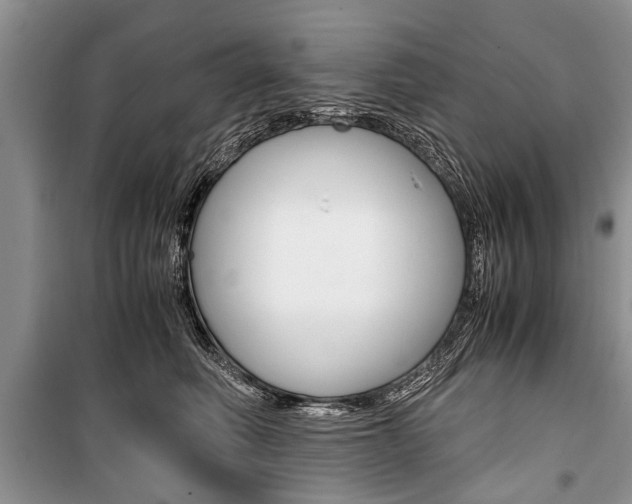 X0000101100614200806261046