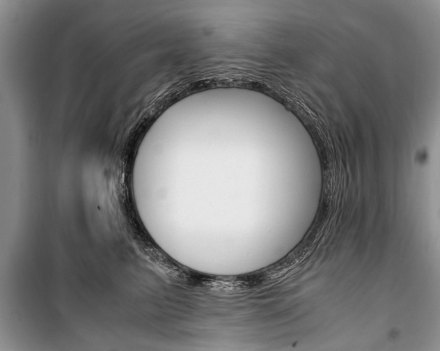 X0000101100615200806261046