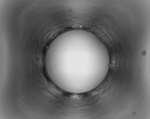 X0000101100616200806261046
