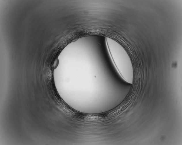 X0000101100617200806261046