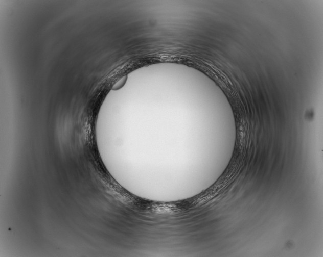 X0000101100618200806261046