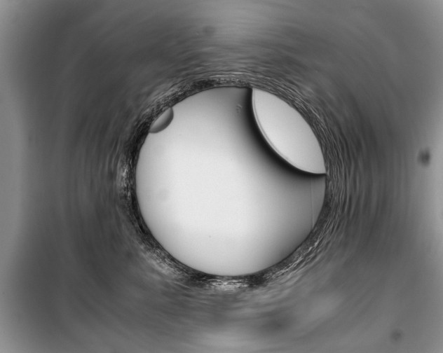 X0000101100619200806261046