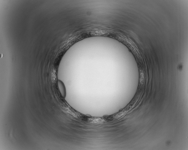X0000101100621200806261046