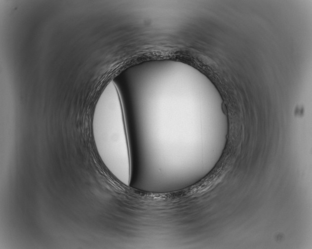 X0000101100624200806261046