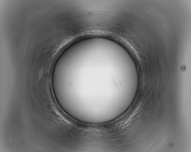 X0000101100625200806261045