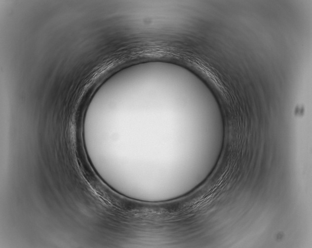 X0000101100626200806261045