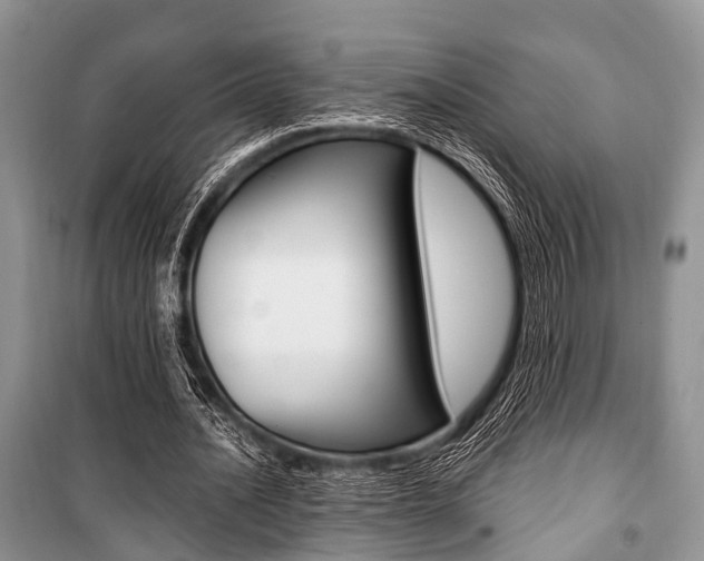 X0000101100628200806261045