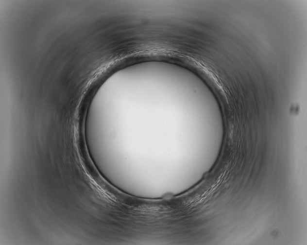 X0000101100629200806261045