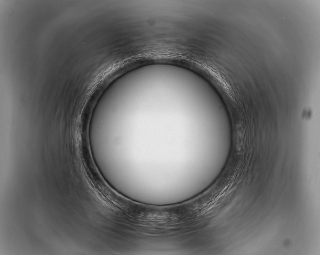 X0000101100631200806261045