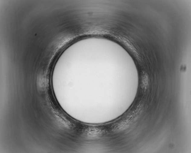 X0000101100632200806261045