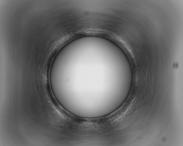 X0000101100633200806261045