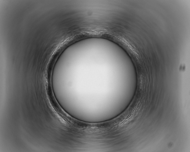 X0000101100634200806261045