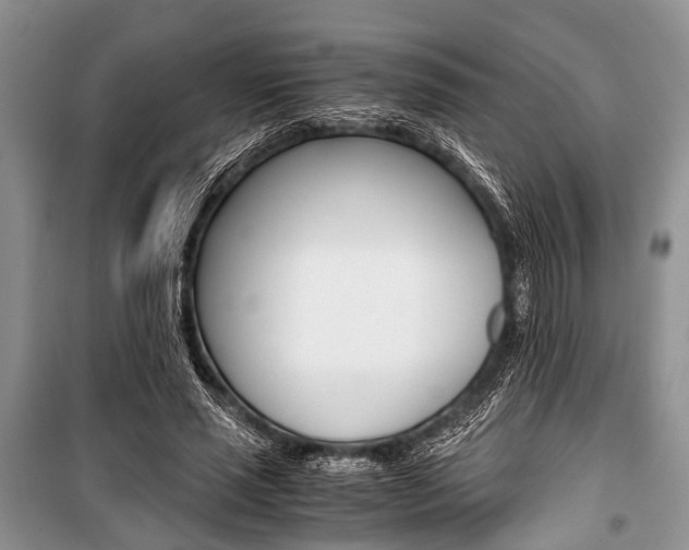 X0000101100637200806261045