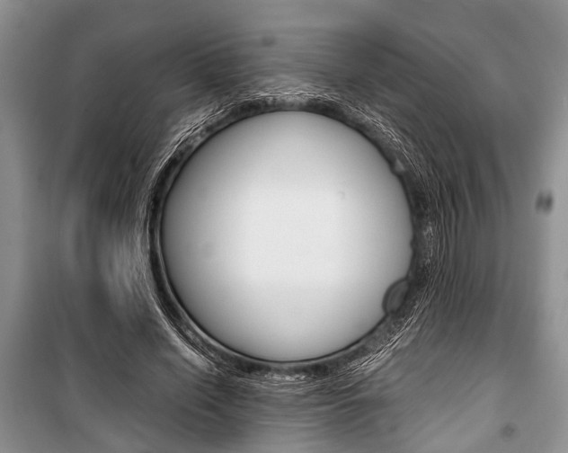 X0000101100638200806261045