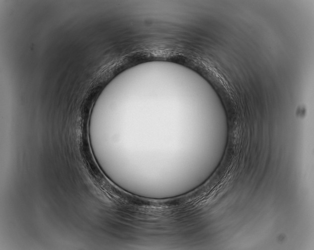 X0000101100639200806261045