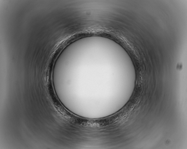 X0000101100640200806261045