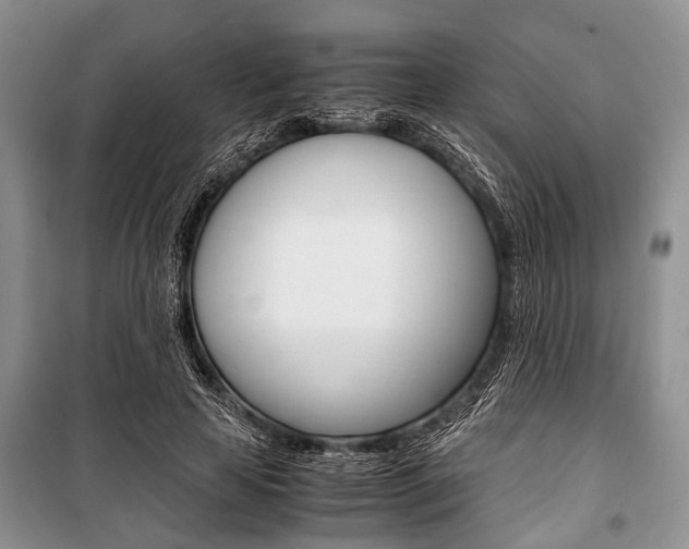 X0000101100641200806261045