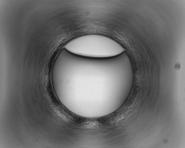 X0000101100642200806261045