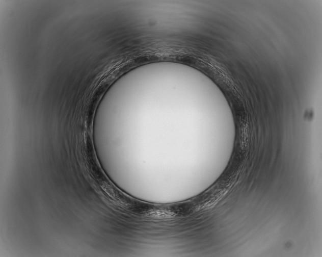 X0000101100644200806261045